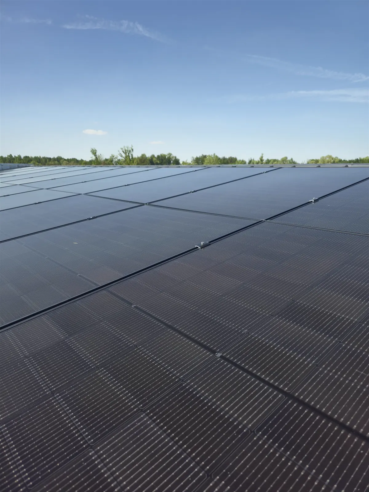 Grande toiture couverte de panneaux solaires sous ciel bleu — chantier Solaurea à Saint-Quentin-Fallavier